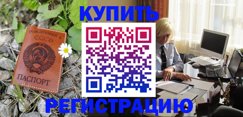временная регистрация поиск в Грозном